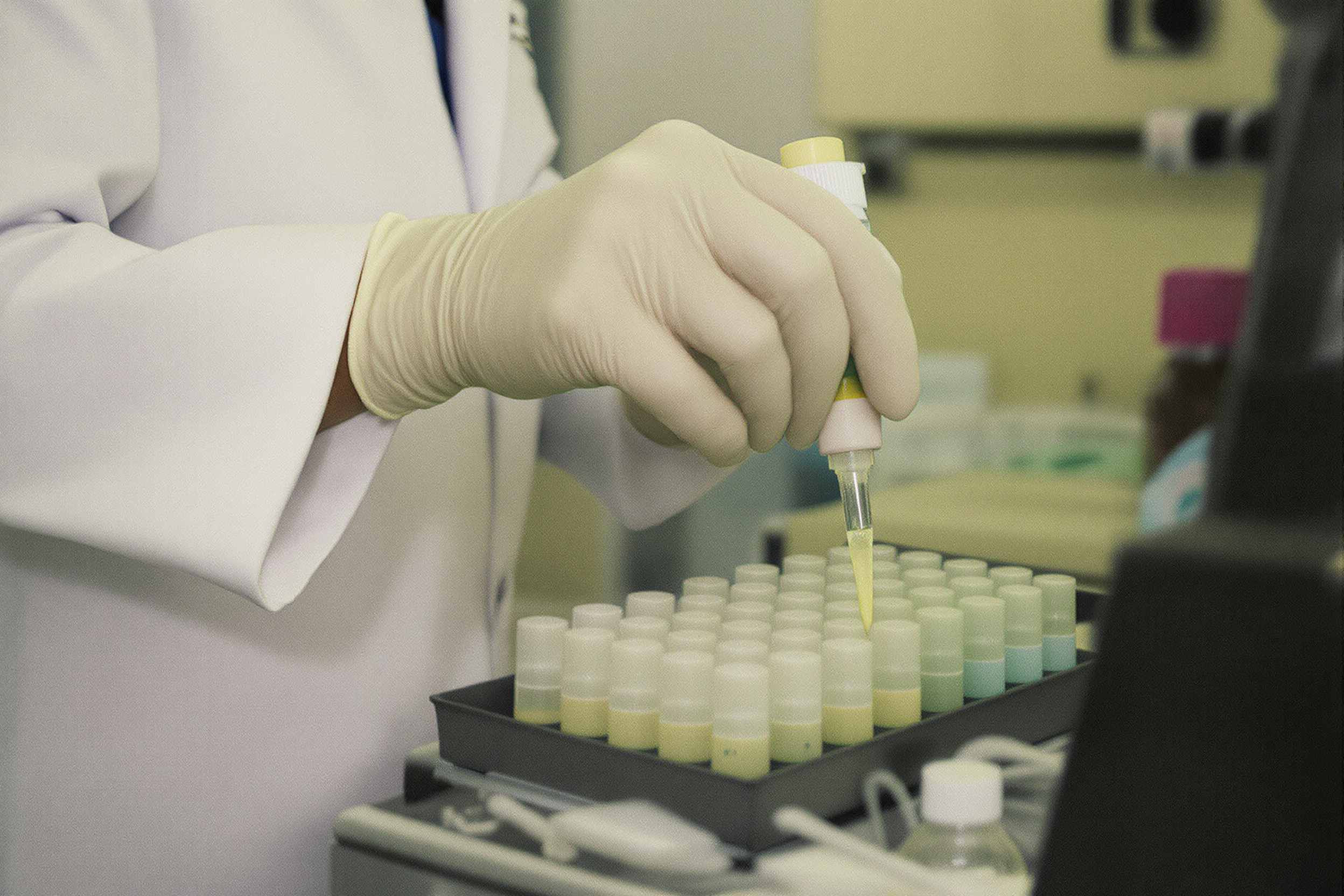 A gloved hand using a pipette to fill rows of sample tubes in a laboratory